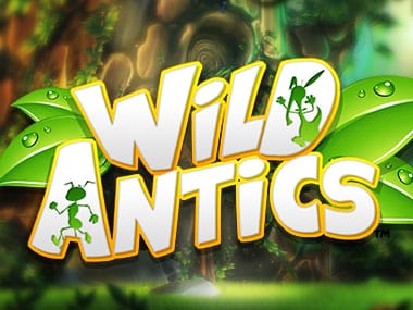 وائلڈ اینٹکس game thumbnail