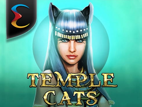 ٹیمپل کیٹس game thumbnail