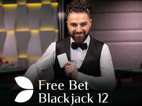 فری بیٹ بلیک جیک 12 game thumbnail